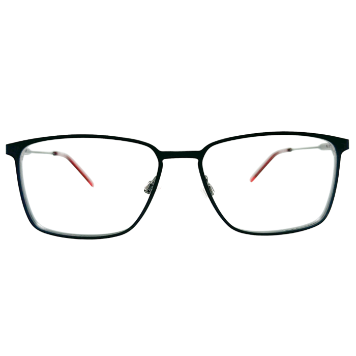 HUGO BOSS HG 1181 - Imagen 1